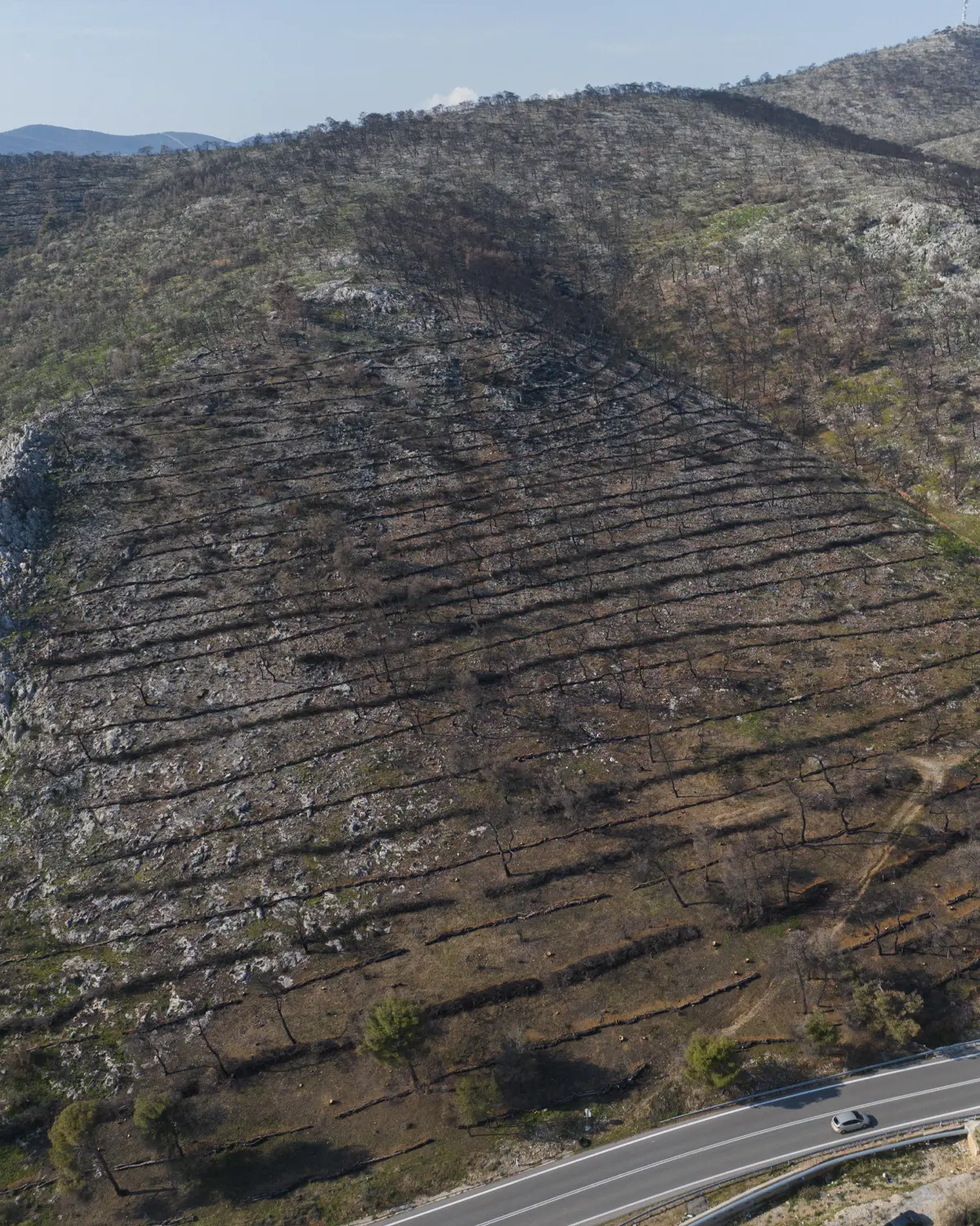 Προστασία βιοποικιλότητας — ΓΕΚ&nbsp;ΤΕΡΝΑ