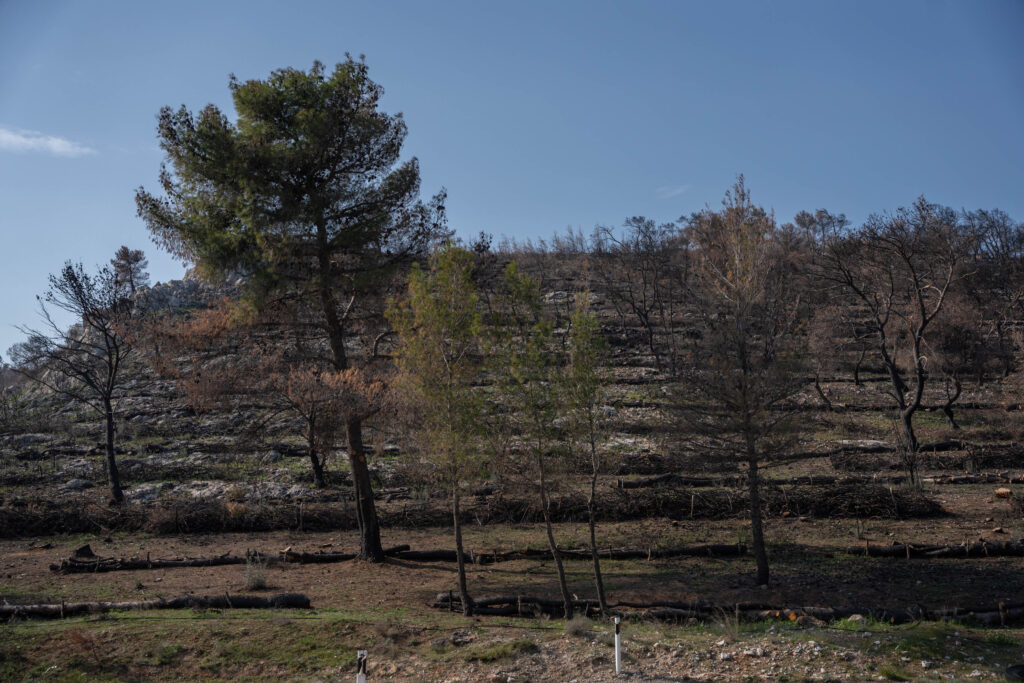 ΑΝΤΙΔΙΑΒΡΩΤΙΚΑ ΜΑΝΔΡΑ