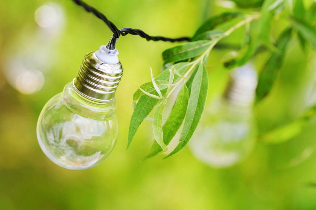 Light bulbs