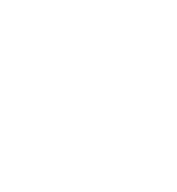 logo_icon
